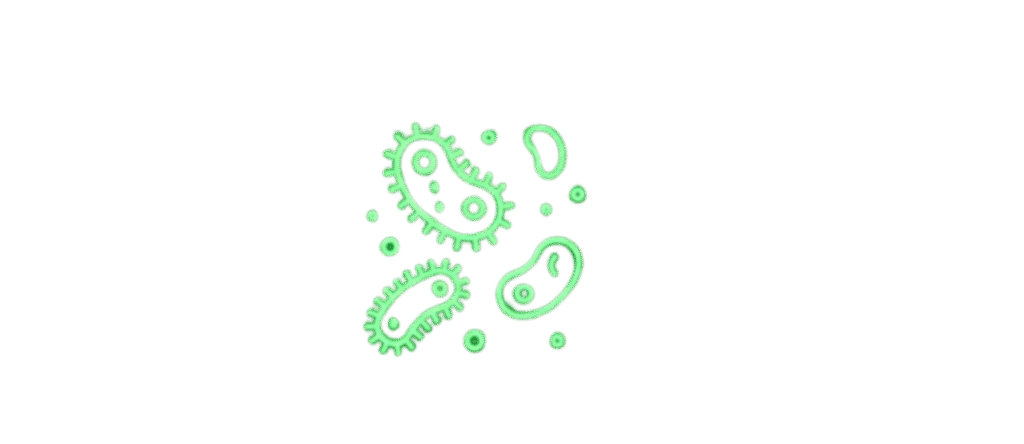 Untitled Design 3 1024x444