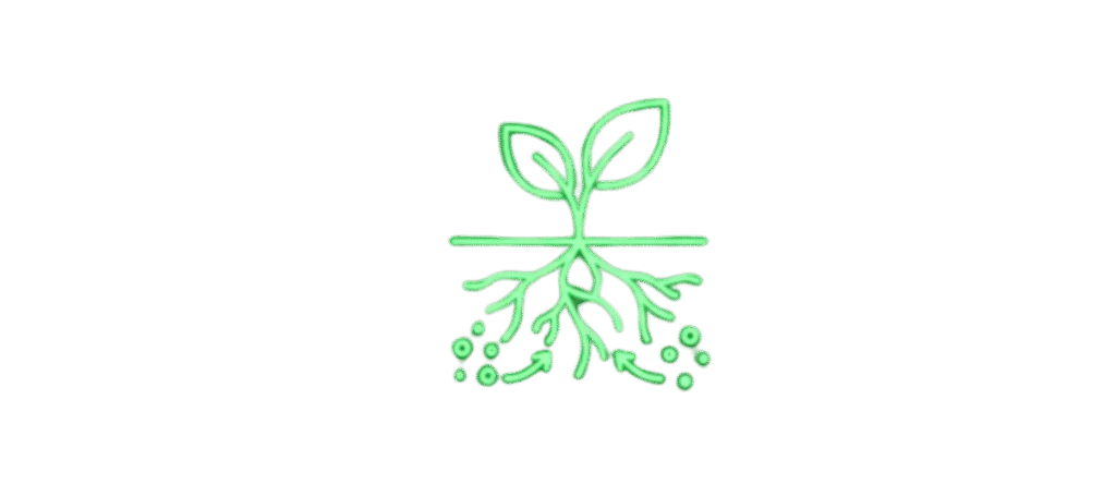Untitled Design 4 1024x444
