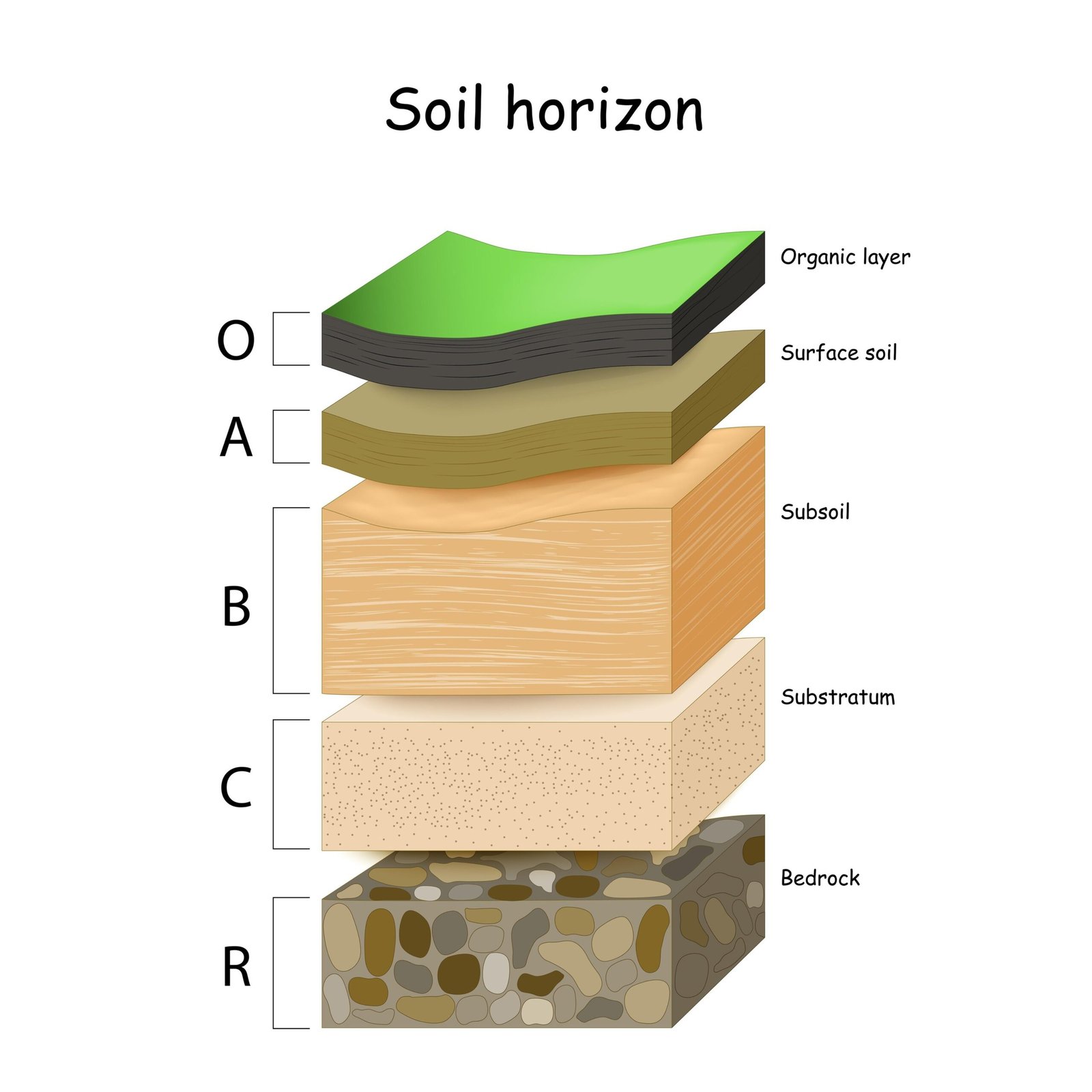 Revitalizing the Earth: A Comprehensive Guide to Advanced Soil Amendment Strategies