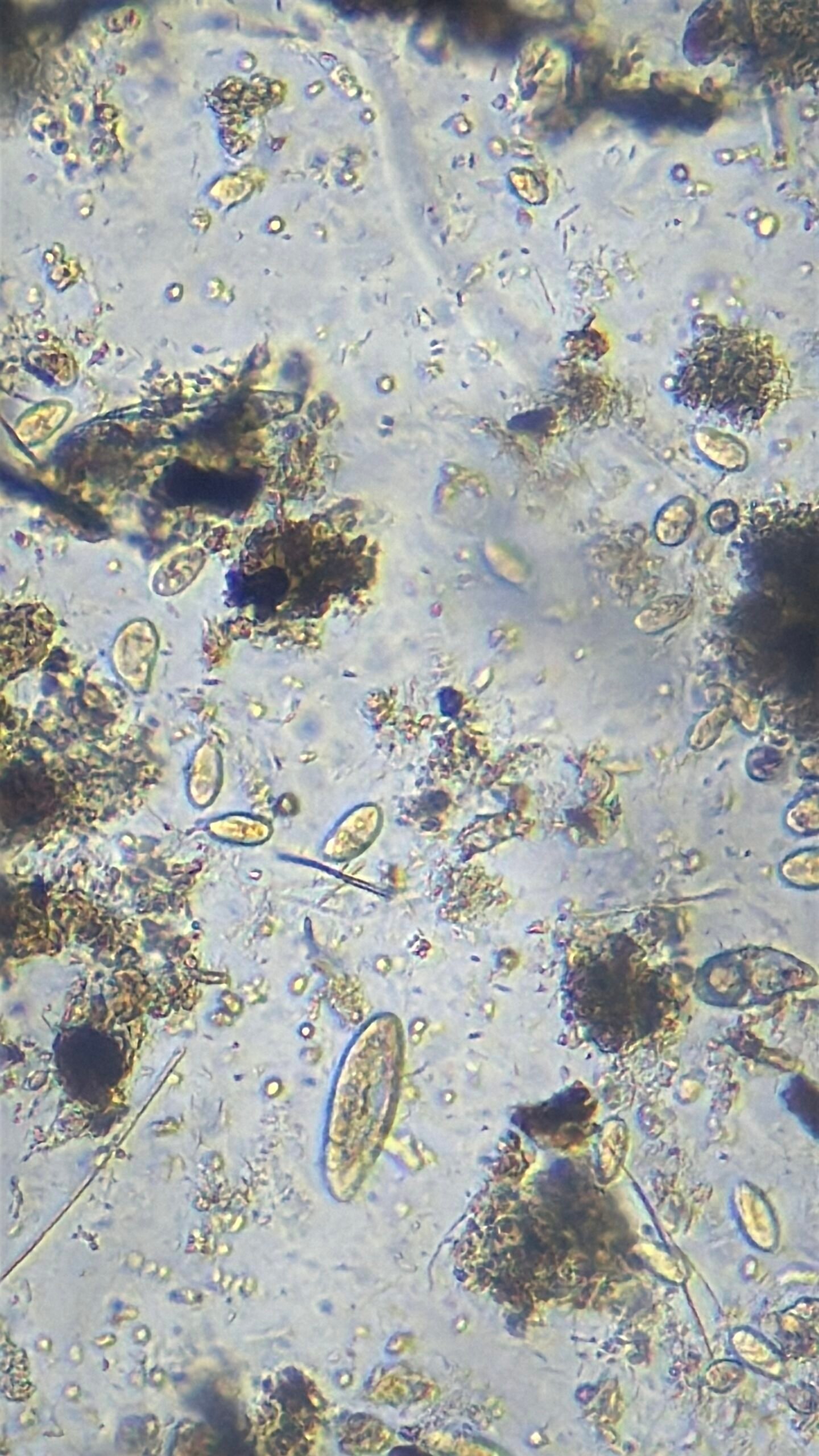 Soil Health 101 soil sample.jpg