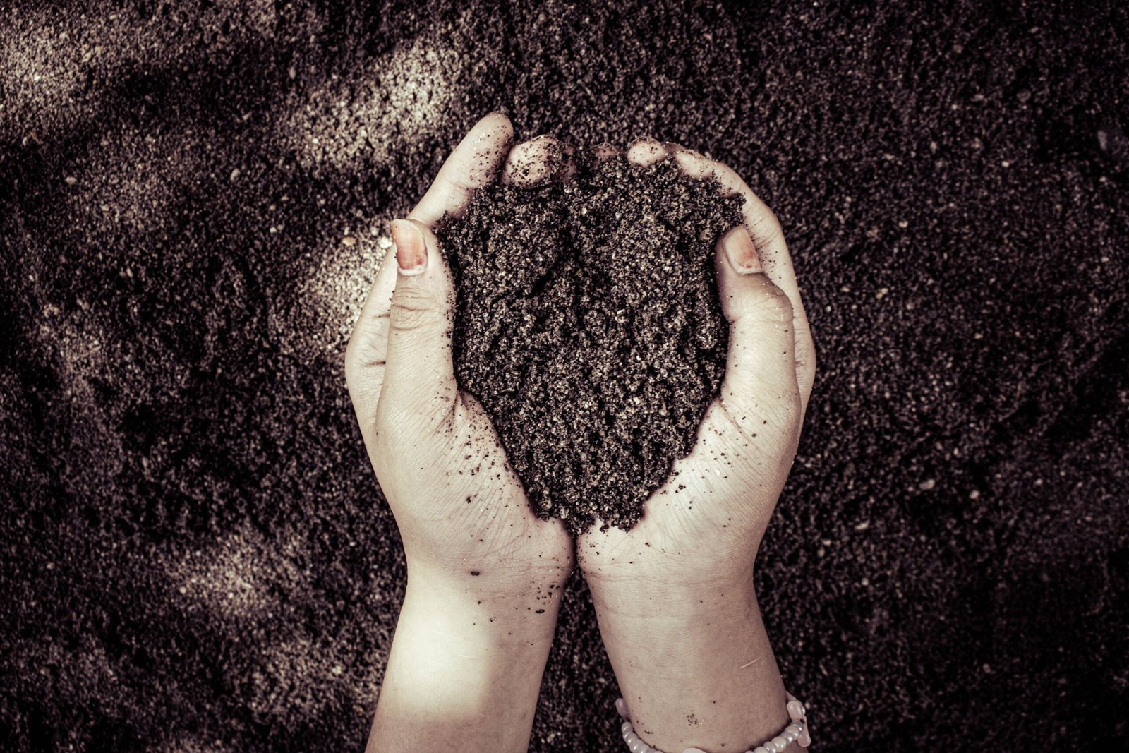 what is worm castings why do i care 4