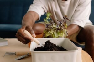 What Are Worm Castings, and Why Should You Care? what is worm castings why do i care 5
