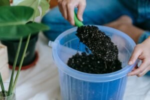 What Are Worm Castings, and Why Should You Care? what is worm castings why do i care feature